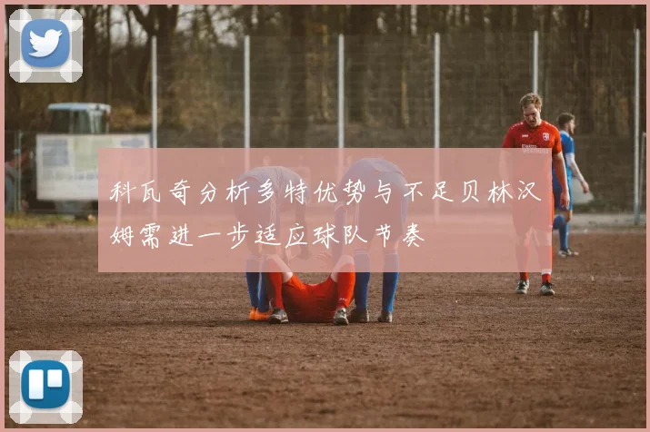 科瓦奇分析多特优势与不足贝林汉姆需进一步适应球队节奏